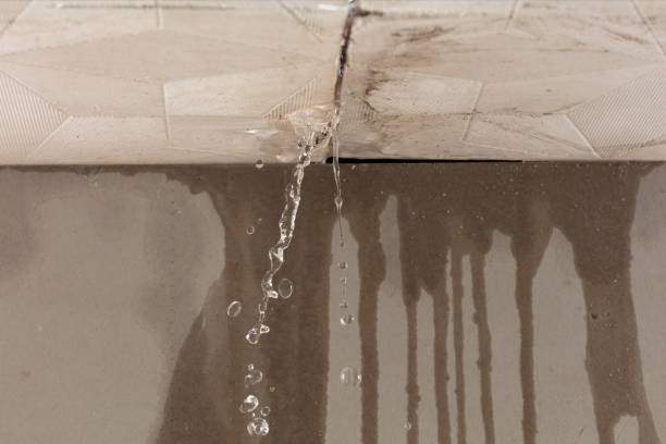 Professional Sewage Cleanup technician working in Edward, NC